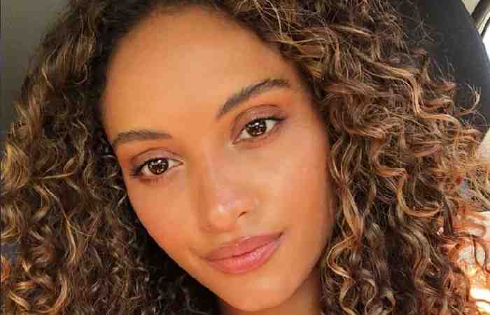 Golden Brown Honey Caramel Brown Hair