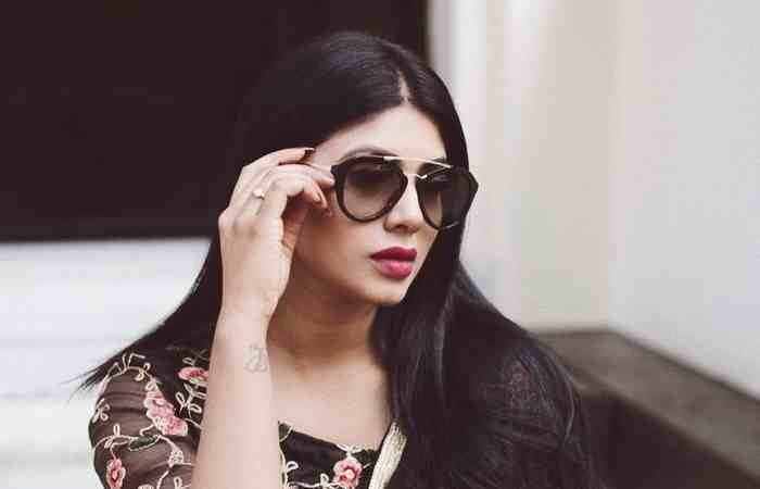 Attitude Saree Captions in Hindi